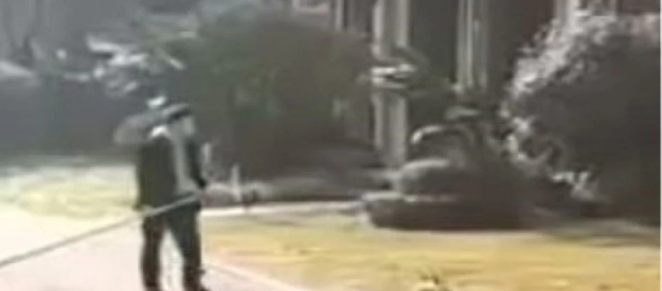 Κορωνοϊός: Κινέζοι αξιωματούχοι εκτελούν κατοικίδια για «να μην εξαπλωθεί ο ιός» (σκληρές εικόνες)